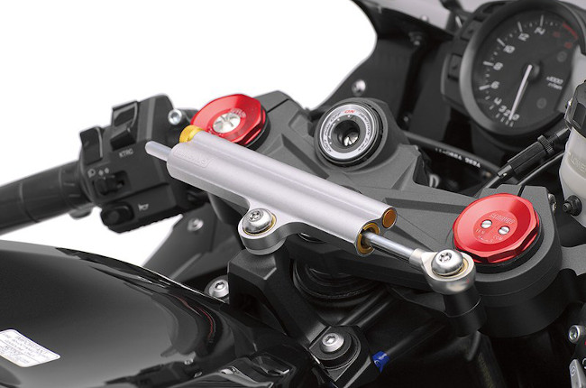 Kawasaki ZX6R Steering Stabilizer