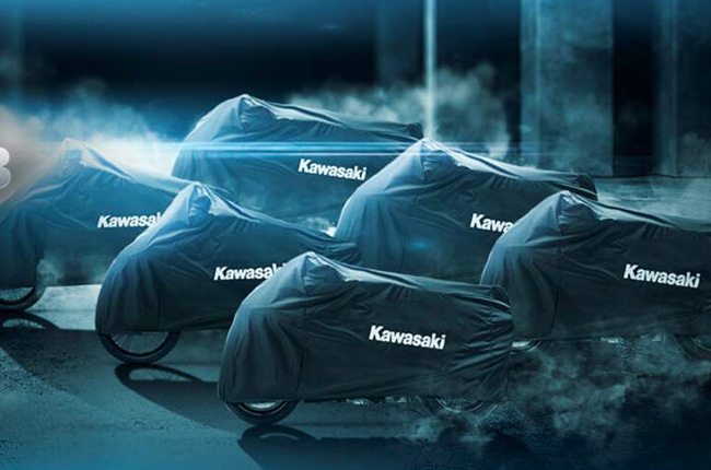 Kawasaki Teaser