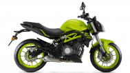 Benelli TNT 302S-Green