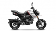CFMOTO 125 Papio Trail - Nebula Black