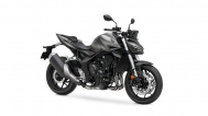 Honda CB1000R Hornet -Mat Iridium Gray Metallic