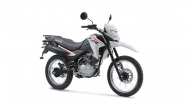 Honda XR150L- Ross White