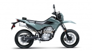 Kawasaki KLX300 - Phantom Blue
