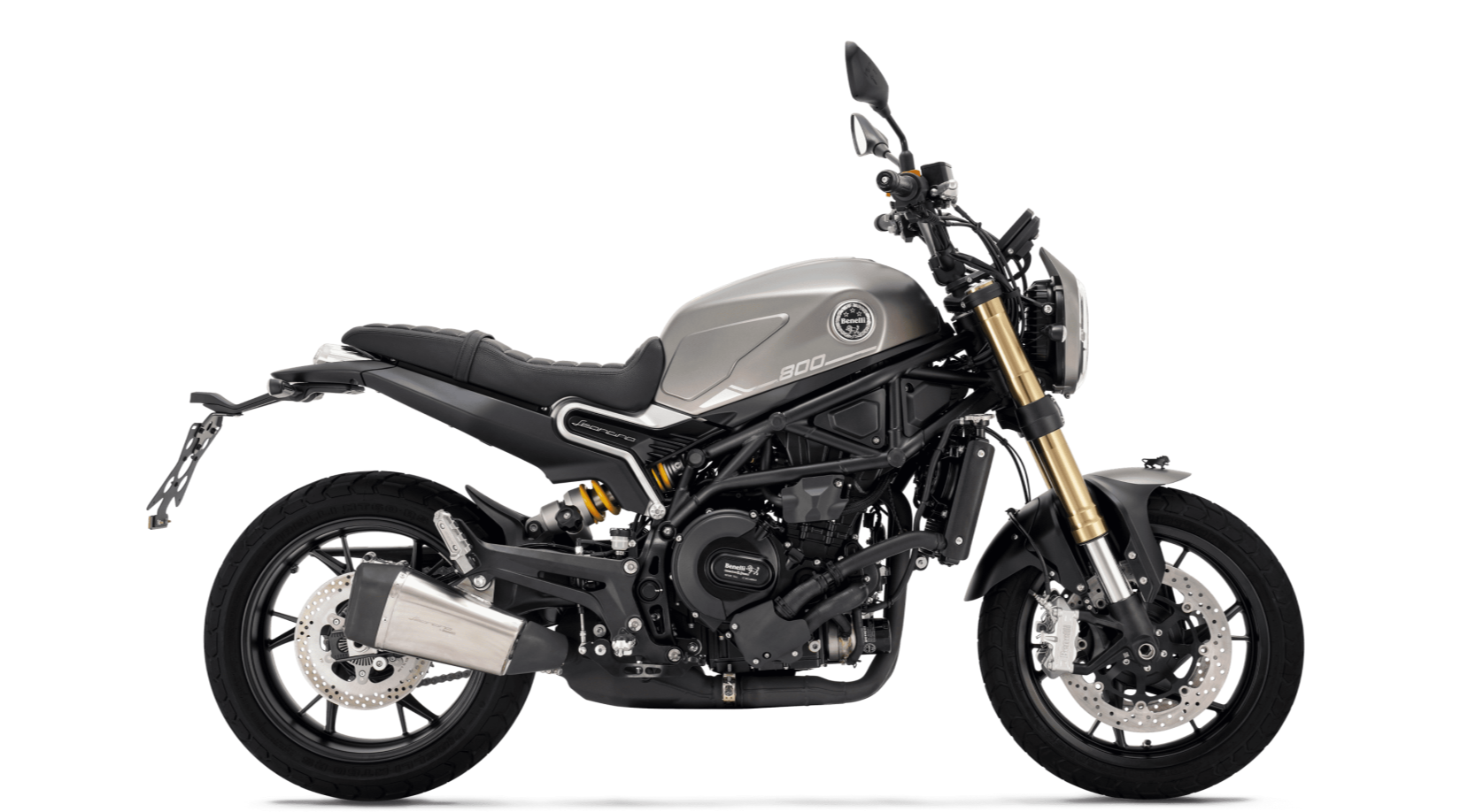 Benelli Leoncino 800