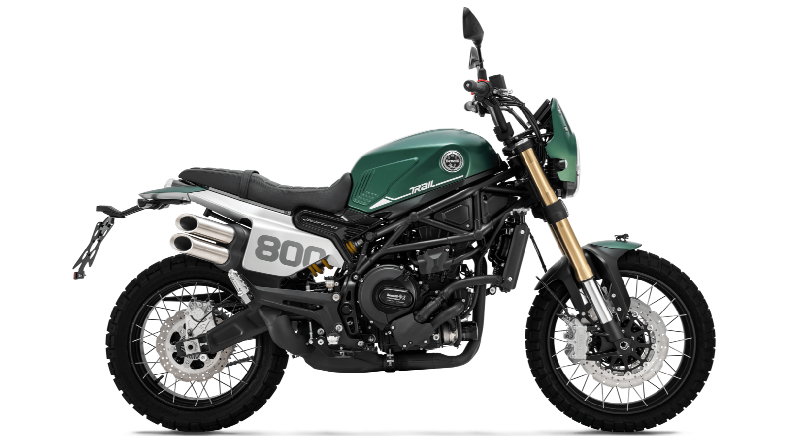 Benelli Leoncino 800