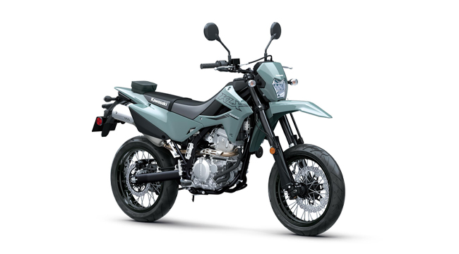 Kawasaki KLX300