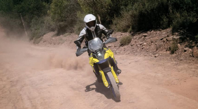 Suzuki V-Strom 800 DE