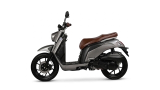 Monarch Arrow 150