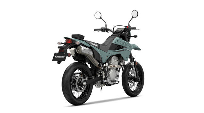 Kawasaki KLX300 SM
