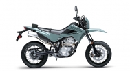 Kawasaki KLX300 SM