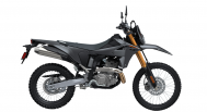 Suzuki DR-Z4S Standard