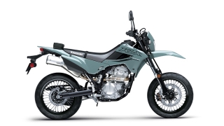 Kawasaki KLX300 SM